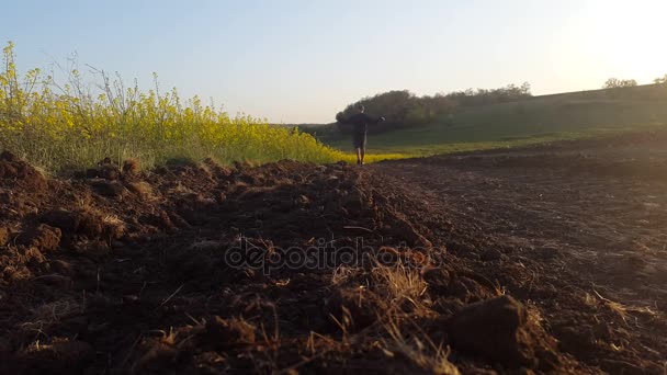 Un vagabond solitaire traversant le champ au coucher du soleil — Video