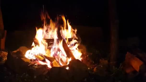 À noite o fogo arde. Madeira em chamas — Vídeo de Stock