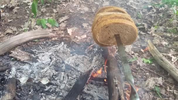 Stek brödet på elden i öppna luften — Stockvideo