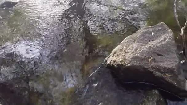 Vattnet sköljer stenar i ån — Stockvideo