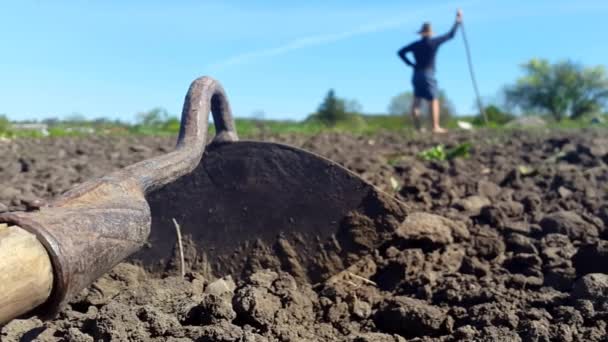 Ein Werkzeug für die Bodenbearbeitung, und der Mann mit Hut pflegt den Boden im Hintergrund — Stockvideo