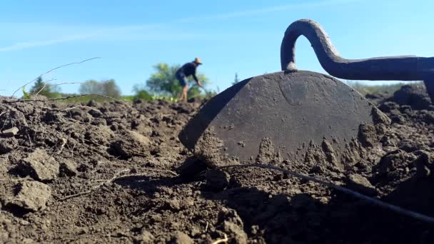 Een hulpmiddel voor het kweken van de bodem, en man in een hoed cultiveert de bodem in de achtergrond — Stockvideo