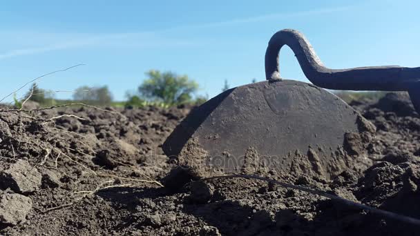 지상에 괭이. 토양 재배에 대 한 오래 된 도구 — 비디오