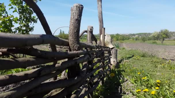 Круглый плетеный забор и природа — стоковое видео