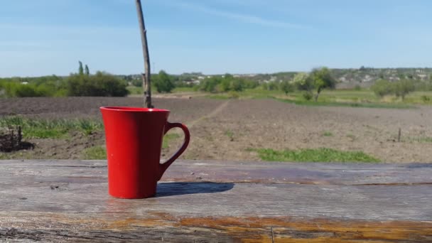 Red cup on a wooden table on a nature background — Stock Video