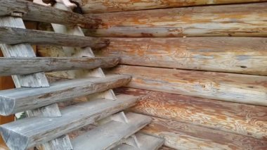 Genç bir kız Ahşap merdiven yürüyor