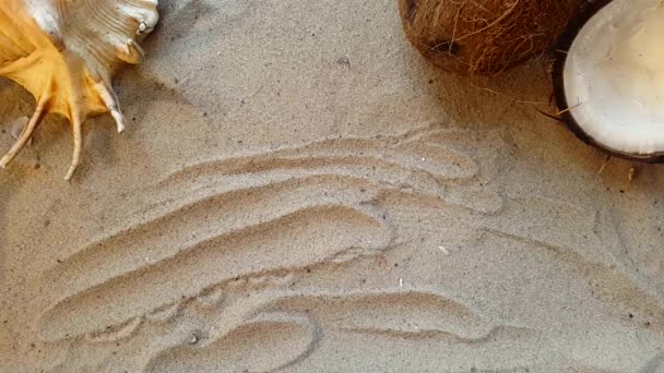 Schreibt das Wort Sommer auf den Sand des Strandes mit einer Muschel und einer Kokosnuss — Stockvideo