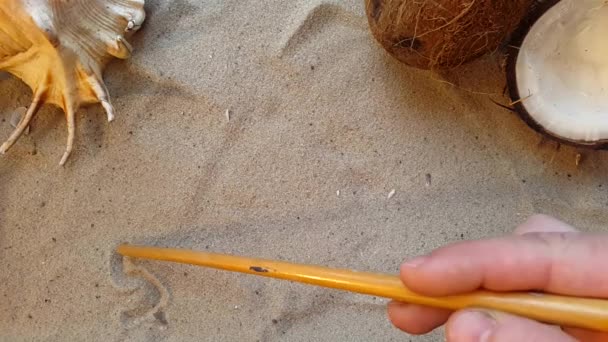 Zomer Van Het Woord Schrijft Het Zand Van Het Strand — Stockvideo