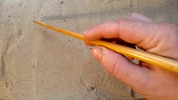 Writes the word love, on the sand of the beach with a seashell and a coconut — Stock Video