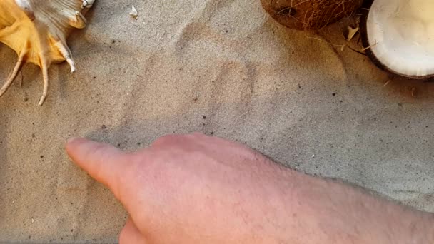 Schrijft het woord ontspannen, op het zand van het strand met een zeeschelp en een kokosnoot — Stockvideo