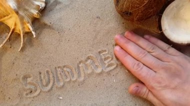 bir deniz kabuğu ve Hindistan cevizi ile plajın kumları üzerinde kelime yaz yazıyor