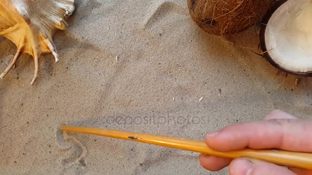 De zomer van het woord, schrijft op het zand van het strand met een zeeschelp en een kokosnoot — Stockvideo