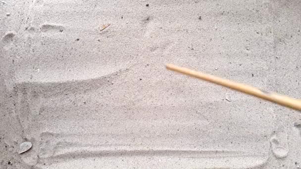 모래는 조개와 코코넛 해변에 그려진 심장 — 비디오