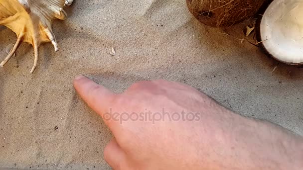 Schreibt das Wort spa, auf den Sand des Strandes mit einer Muschel und einer Kokosnuss — Stockvideo