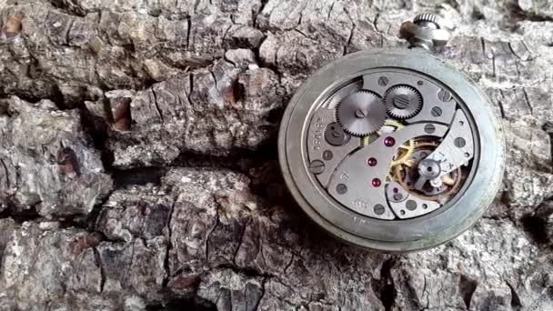 Mecanismo de reloj sobre fondo de madera . — Vídeos de Stock