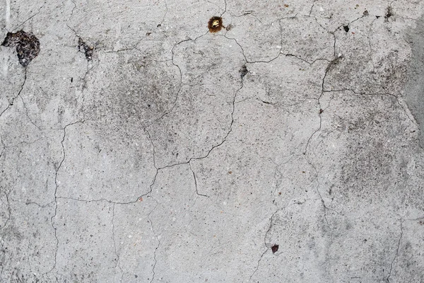 Gray cement texture — Stock Photo, Image