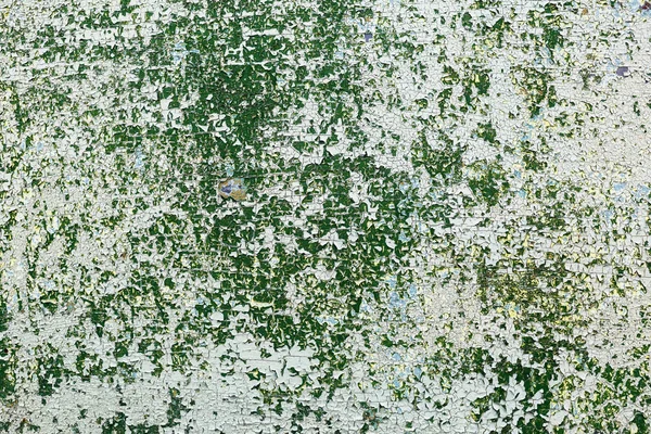緑の皮のペンキ — ストック写真