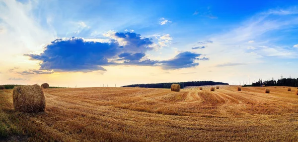 Hay bales on field — Stock Photo, Image