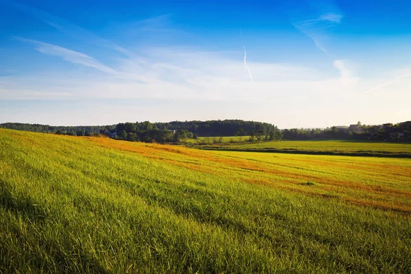 Campo immerso nel verde — Foto Stock