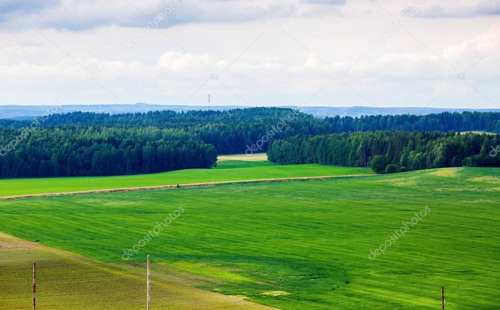 Fields and forest