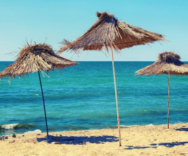 Saman plaj şemsiyeleri
