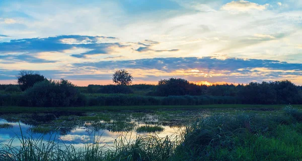 Sunset and pond — Stock Photo, Image