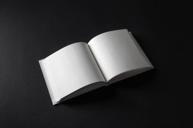 Boş kare kitap