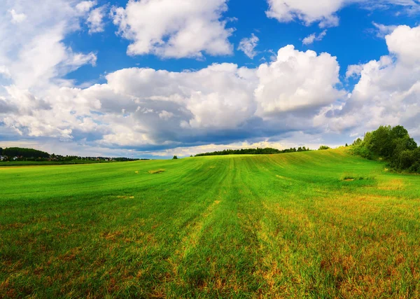 Campo e cielo — Foto Stock