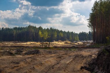 Ormanda taş ocağı