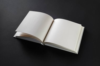 Boş kare kitap