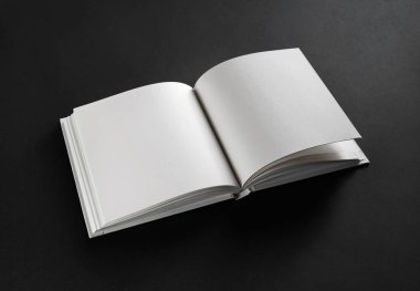 Açık boş kitap