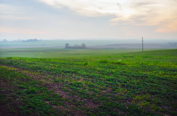 Evening rural landscape — Stock Photo, Image