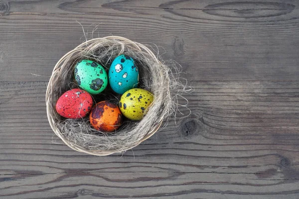 Easter eggs and nest — Stock Photo, Image