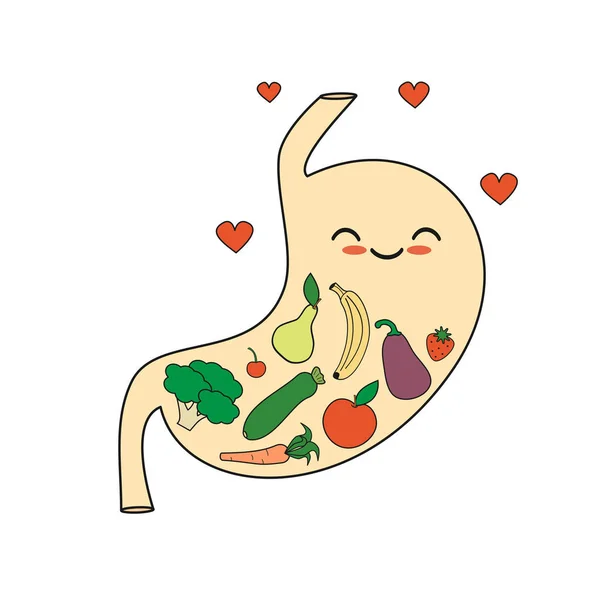 Desenho animado bonito estômago saudável feliz com vegetais e frutas conceito ilustração vetor —  Vetores de Stock