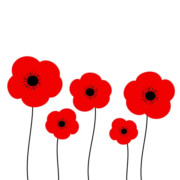 Ilustración vectorial de amapolas aislada sobre fondo blanco — Archivo Imágenes Vectoriales