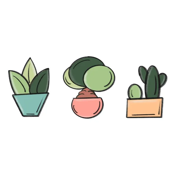 Cute Hand Drawn Potted Plants Set — 스톡 사진