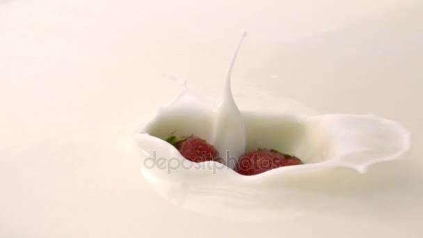 Zwei Stücke der Erdbeere fallen in Creme — Stockvideo