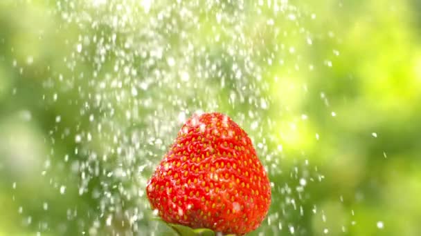 加糖草莓 — 图库视频影像