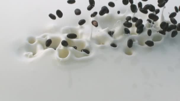 Lots of Chocolate granules Falling Down into Yogurt — Stock Video