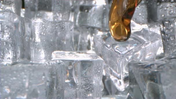 Whisky Está Vertiendo Sobre Cubitos Hielo Vaso Cámara Cámara Lenta — Vídeo de stock