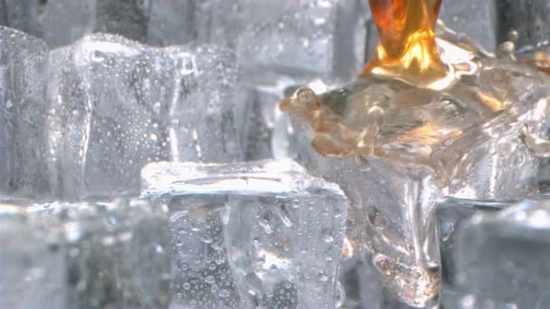 Macro Whisky Vierte Hielo Dentro Vaso Cámara Lenta — Vídeo de stock