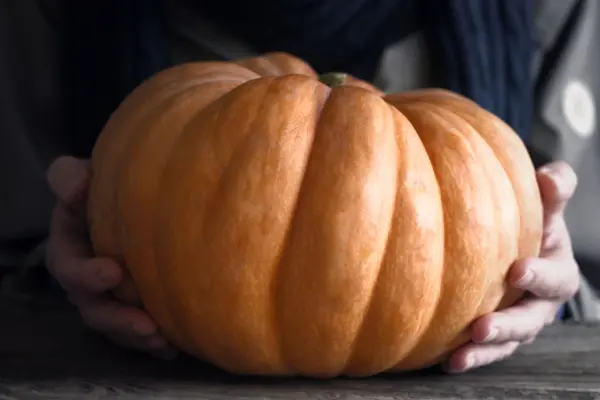 Zucca di sollievo nella mano orizzontale — Foto Stock