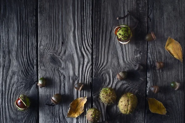 Autumn gifts on the wooden table top view — Stock Photo, Image