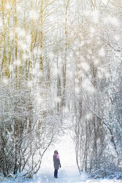 Женщина, гуляющая в зимнем лесу — стоковое фото