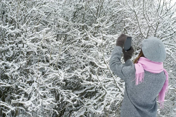 Femme prend des photos des arbres enneigés — Photo