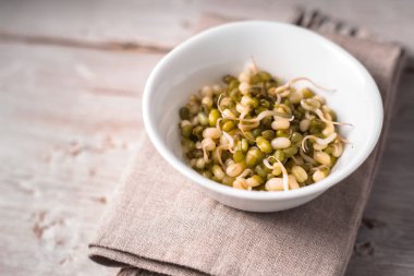 Seramik kase closeup germinated fasulye