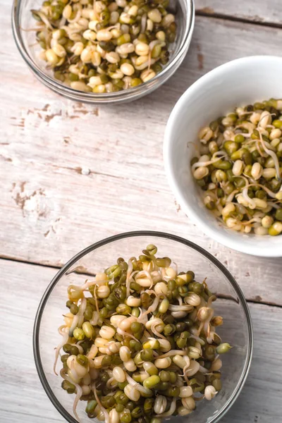 Germinated beans in glass and ceramic bowls on wooden boards — Stock Photo, Image