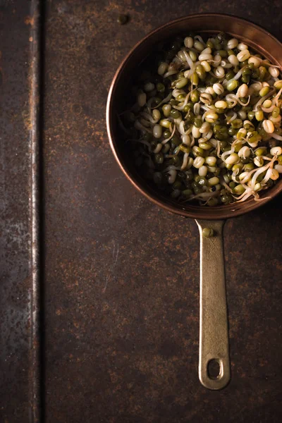 Sprouting mung beans in a colander on a table — Stock Photo, Image