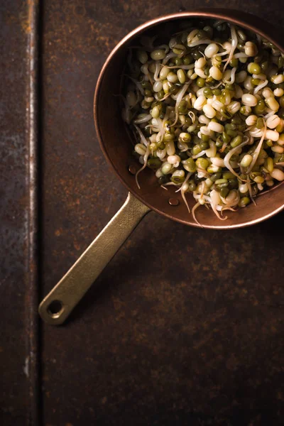 Sprouting mung beans in a colander diagonal — Stock Photo, Image