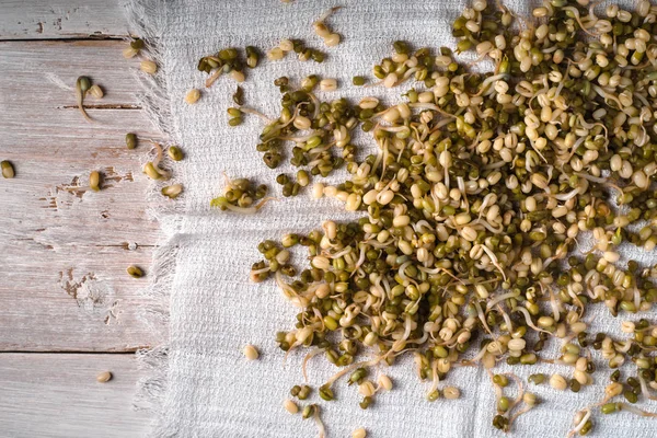 Frijoles mungo germinados en una servilleta a la derecha —  Fotos de Stock